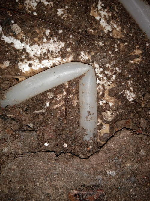 东阿堵点精准查找